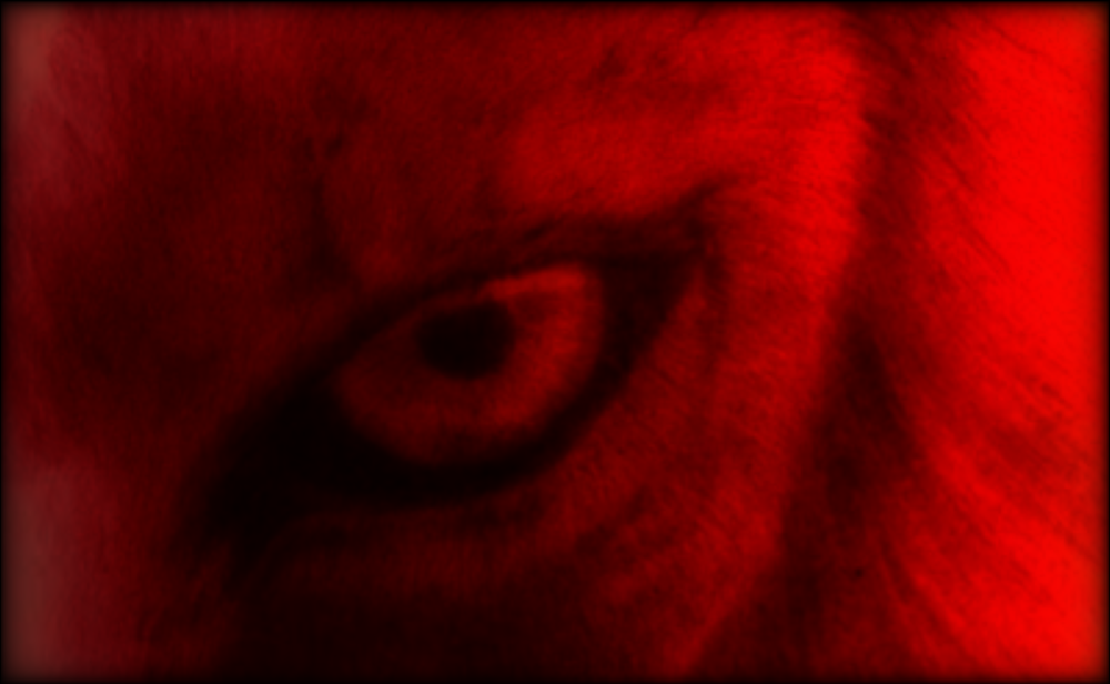 “La Muerte Multicolor” for percussion quartet (2010)