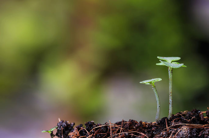 Enrique Mendoza Ground Beatings