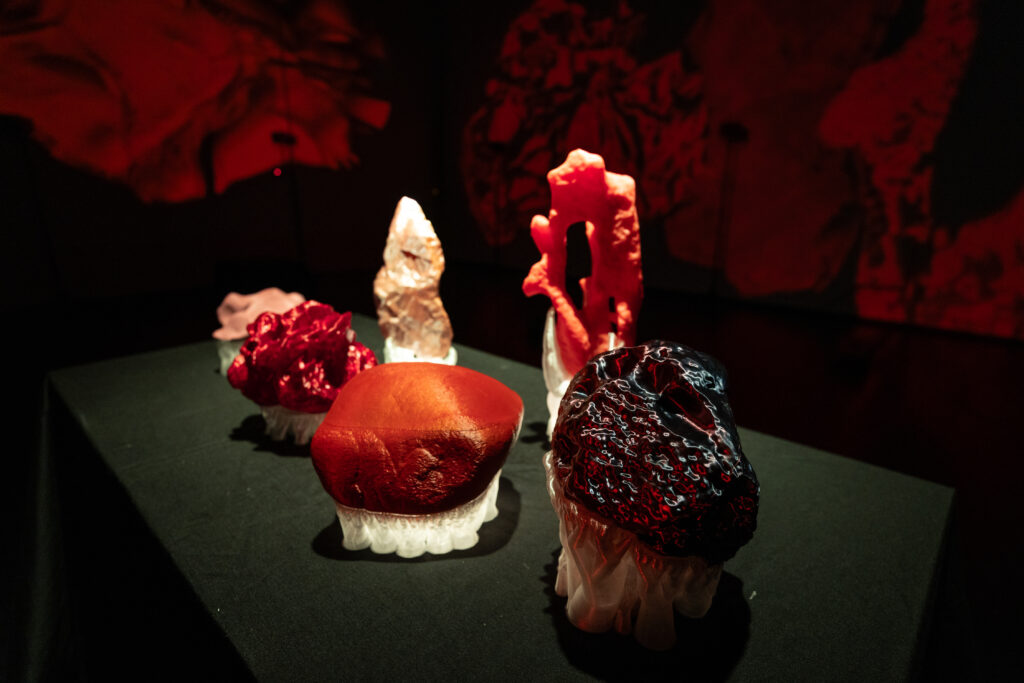 Interworld - Laura Adel - Enrique Mendoza - Ars Electronica